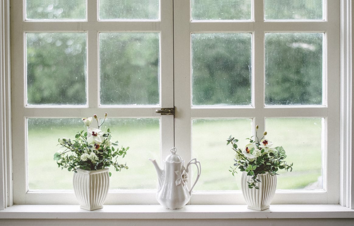 Plants by the Window